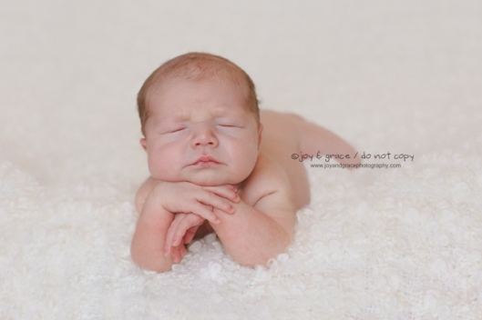 8 day old baby boy - becker newborn photographer
