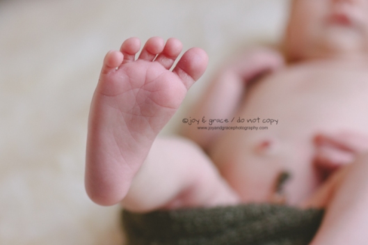 8 day old baby boy - becker newborn photographer